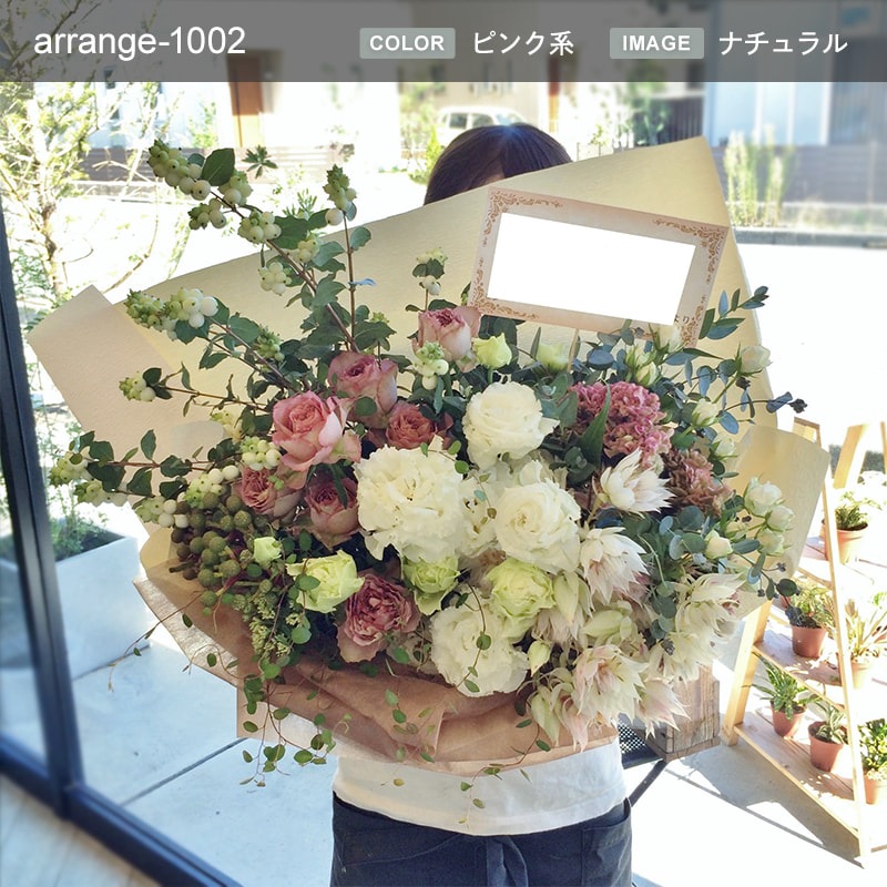 󥸥 XL  [Ϥǽꥢ˭ԡ;]