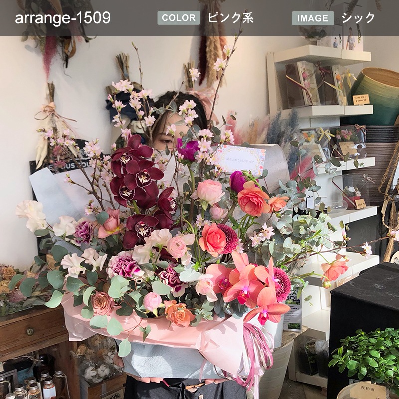 󥸥 XXL  [Ϥǽꥢ˭ԡ;]