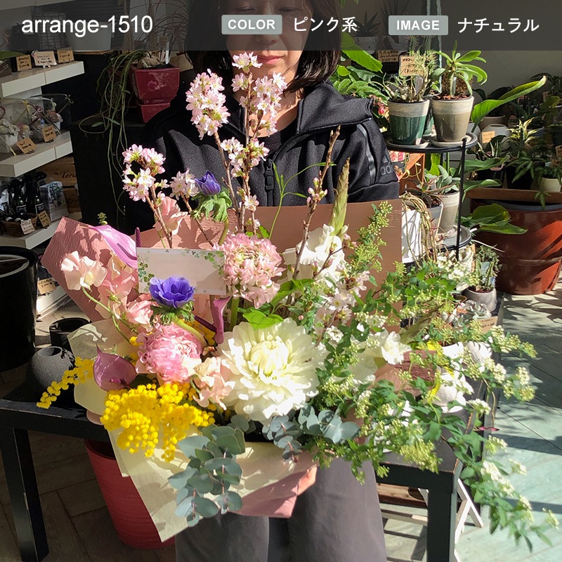 󥸥 XXL  [Ϥǽꥢ˭ԡ;]