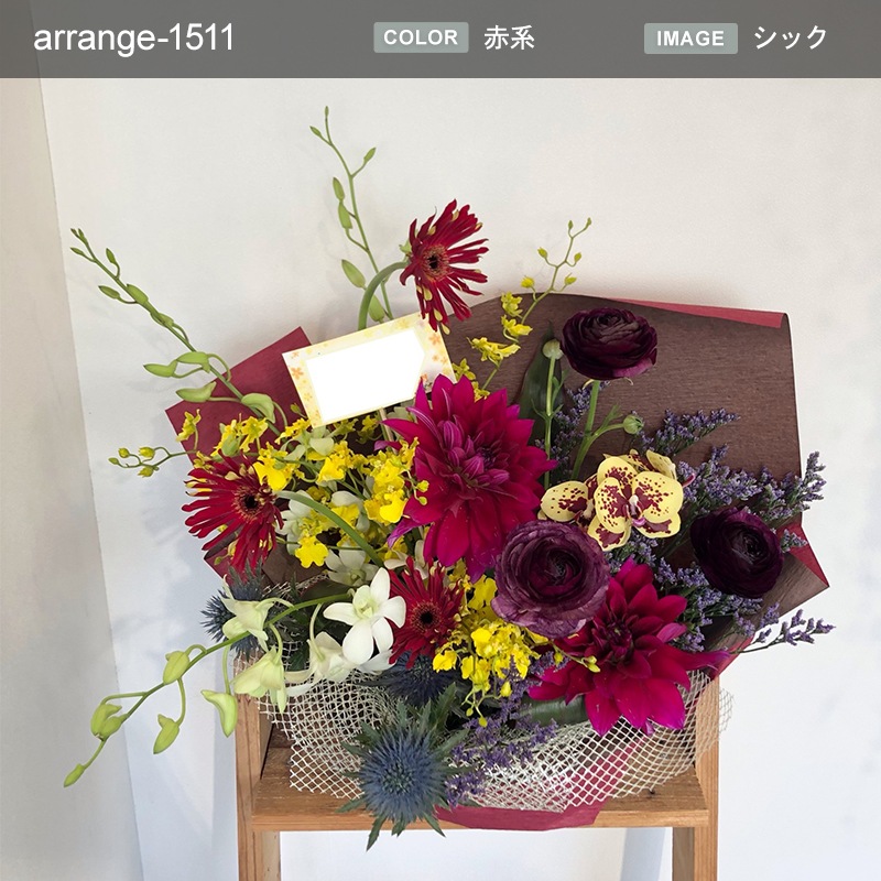 󥸥 XXL  [Ϥǽꥢ˭ԡ;]