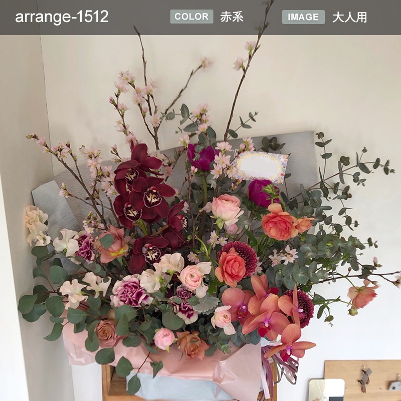 󥸥 XXL  [Ϥǽꥢ˭ԡ;]