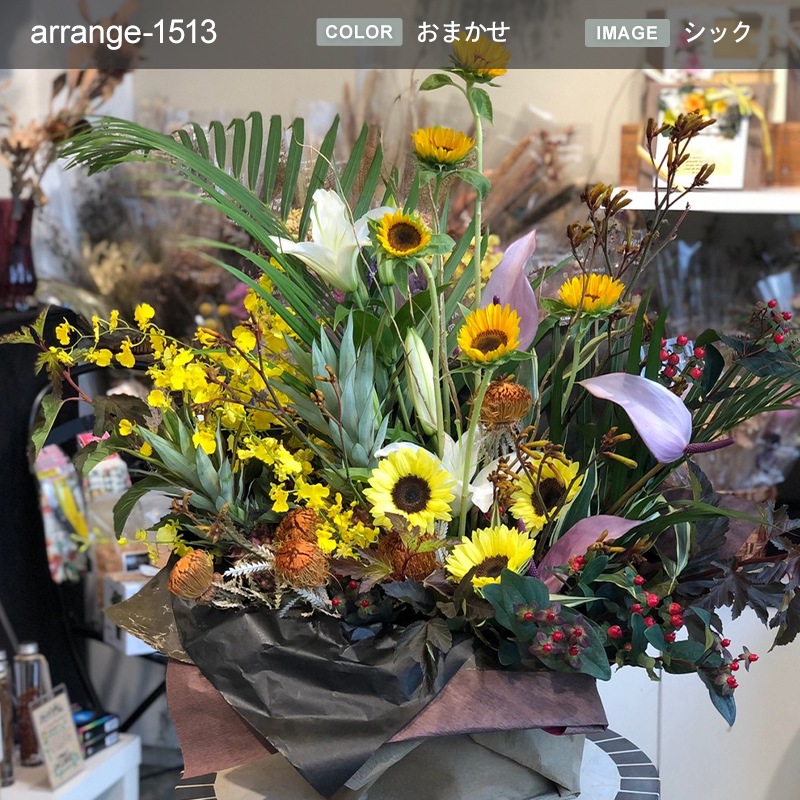 󥸥 XXL  [Ϥǽꥢ˭ԡ;]