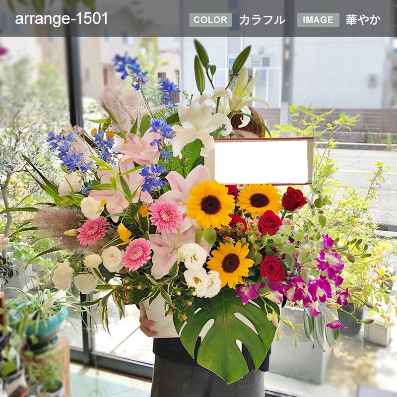 󥸥 XXL  [Ϥǽꥢ˭ԡ;]