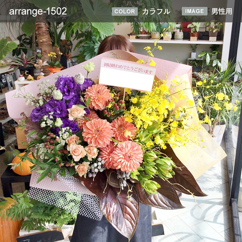 󥸥 XXL  [Ϥǽꥢ˭ԡ;]