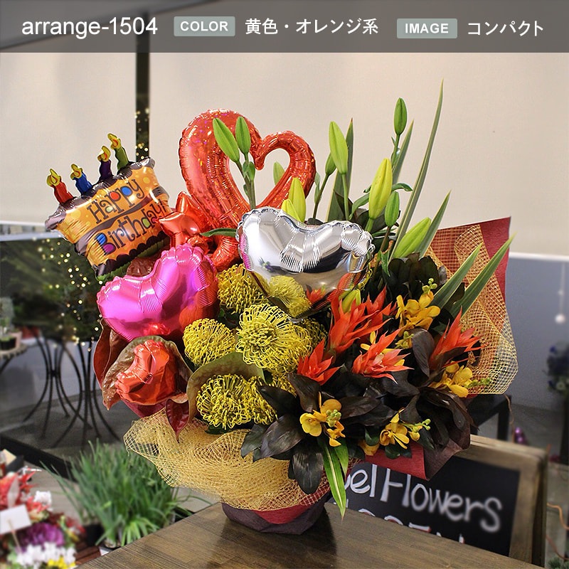 󥸥 XXL  [Ϥǽꥢ˭ԡ;]