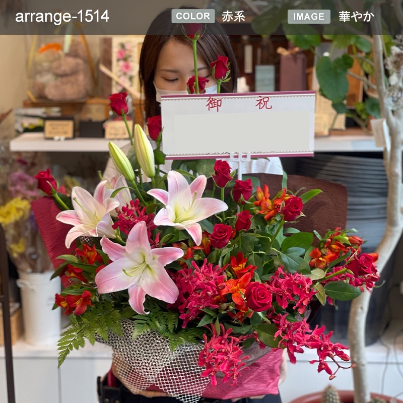 󥸥 XXL  [Ϥǽꥢ˭ԡ;]