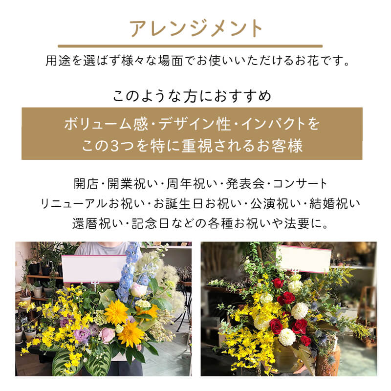 󥸥 XXL  [Ϥǽꥢ˭ԡ;]