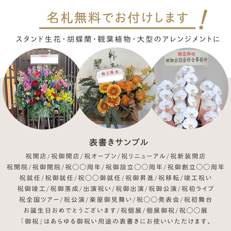 󥸥 XXL  [Ϥǽꥢ˭ԡ;]