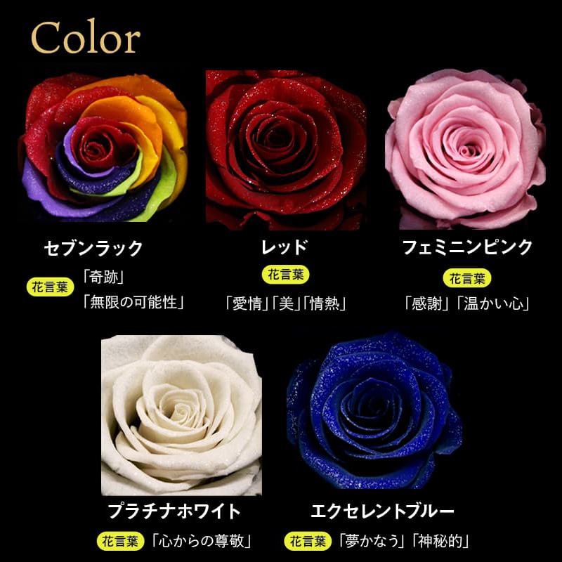 ǽ̵ ɥߥޤΥޥå ʥץꥶ֥ɥե