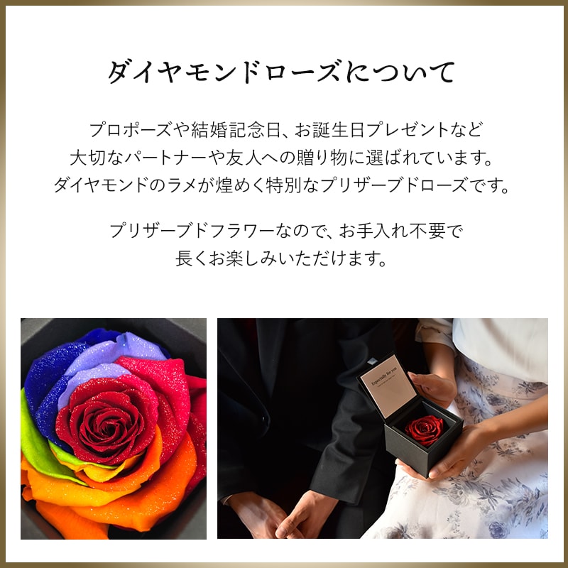 ǽ̵ ɥߥޤΥޥå ʥץꥶ֥ɥե