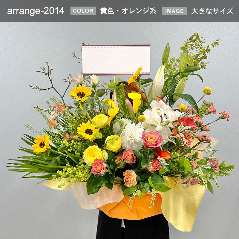 ����󥸥��� XXXL [���Ϥ���ǽ���ꥢ��˭���ԡ��;���]