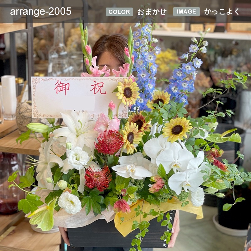 ����󥸥��� XXXL [���Ϥ���ǽ���ꥢ��˭���ԡ��;���]