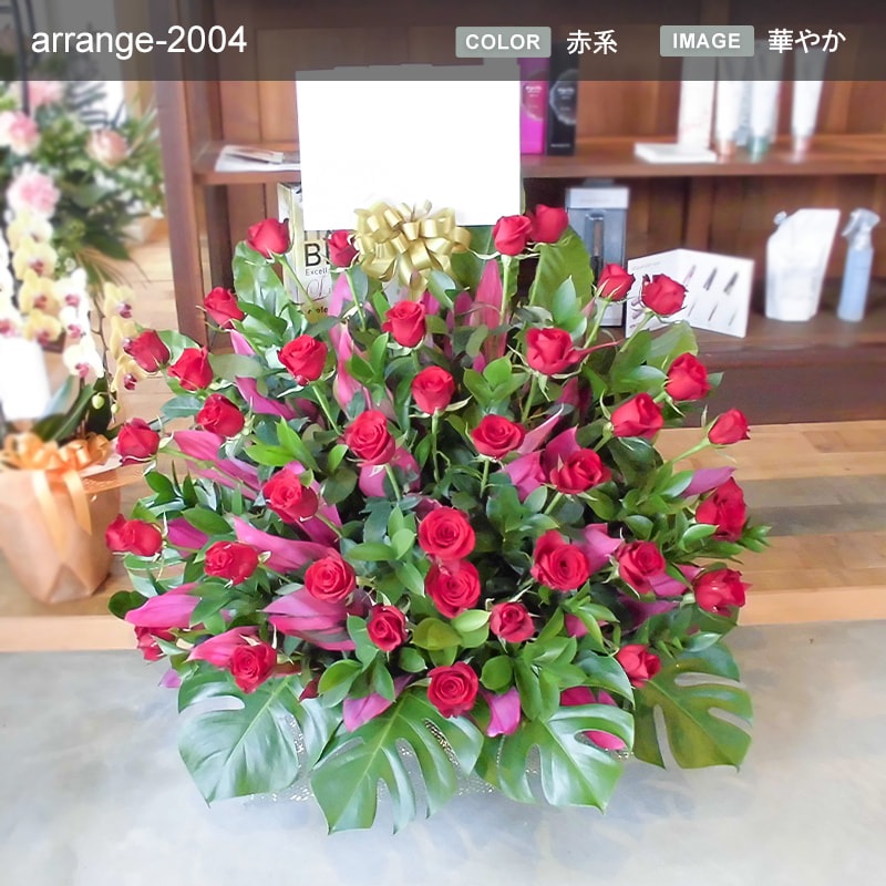 ����󥸥��� XXXL [���Ϥ���ǽ���ꥢ��˭���ԡ��;���]