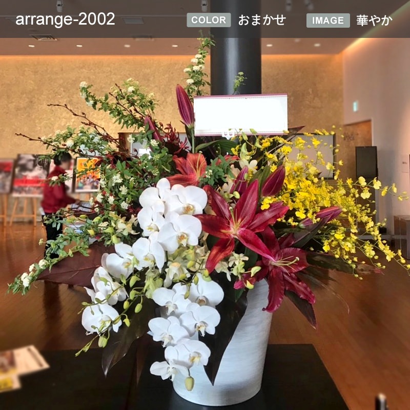 ����󥸥��� XXXL [���Ϥ���ǽ���ꥢ��˭���ԡ��;���]