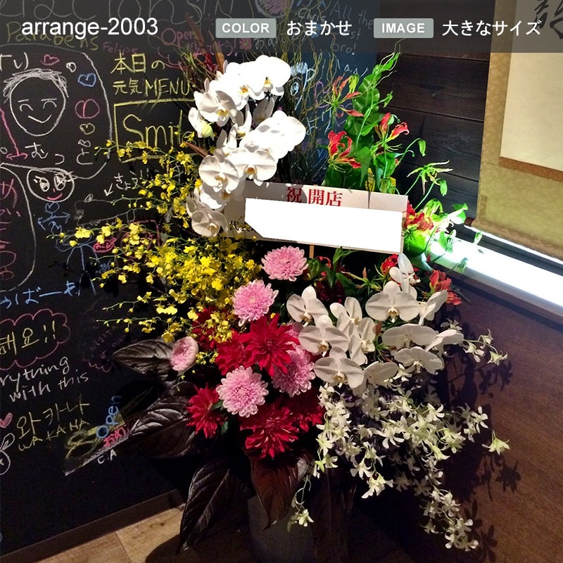 ����󥸥��� XXXL [���Ϥ���ǽ���ꥢ��˭���ԡ��;���]