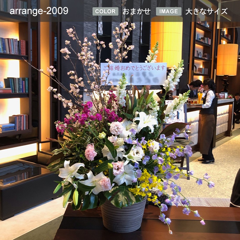 ����󥸥��� XXXL [���Ϥ���ǽ���ꥢ��˭���ԡ��;���]