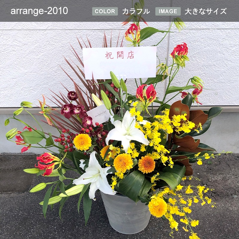 ����󥸥��� XXXL [���Ϥ���ǽ���ꥢ��˭���ԡ��;���]