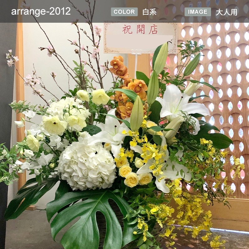 ����󥸥��� XXXL [���Ϥ���ǽ���ꥢ��˭���ԡ��;���]