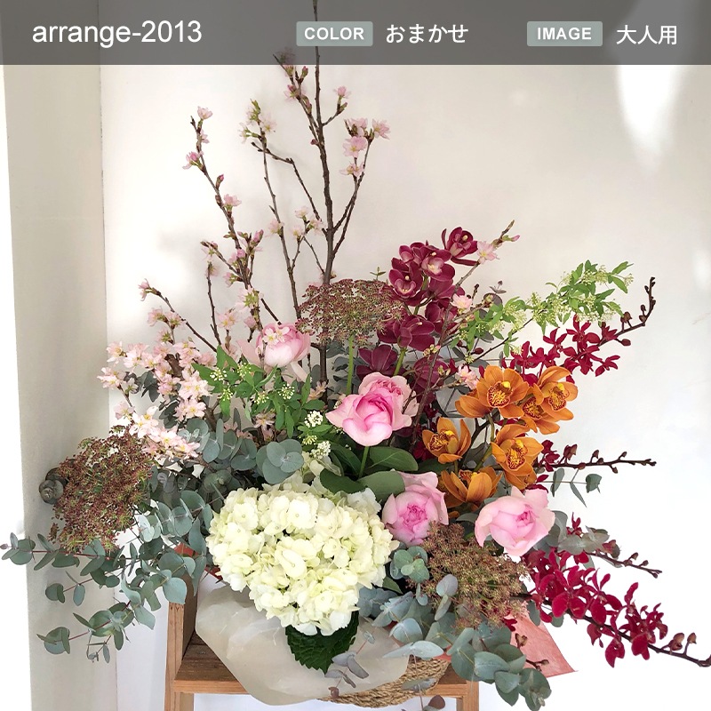 ����󥸥��� XXXL [���Ϥ���ǽ���ꥢ��˭���ԡ��;���]