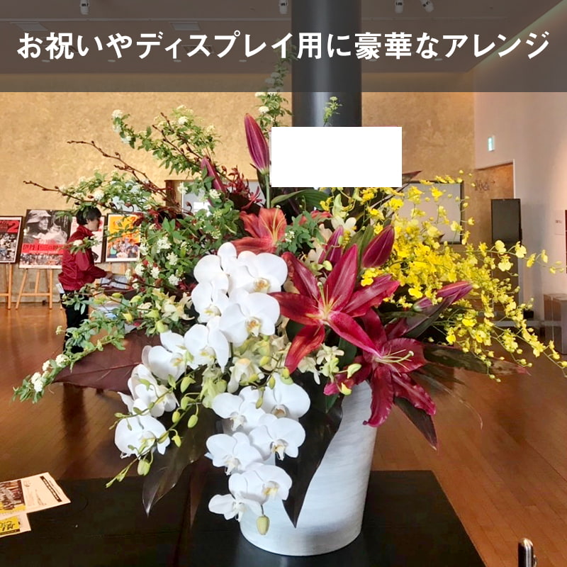 ����󥸥��� XXXL [���Ϥ���ǽ���ꥢ��˭���ԡ��;���]