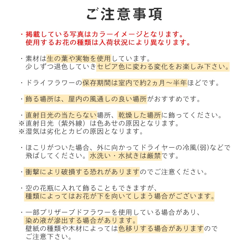 ȯǽ̡ۥɥ饤եå S