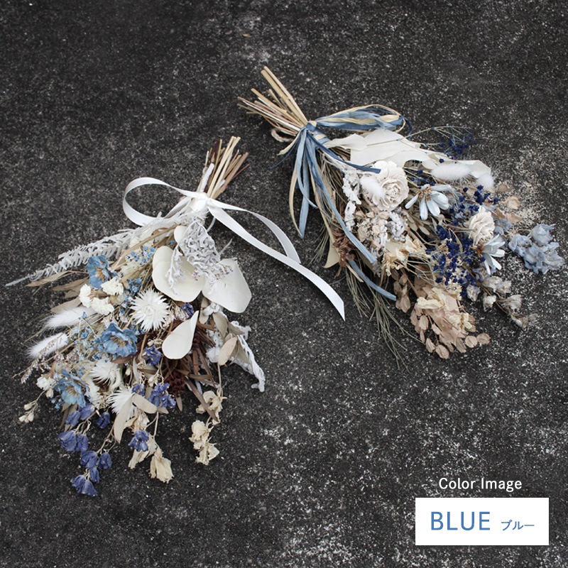 ȯǽ̡ۥɥ饤եå S