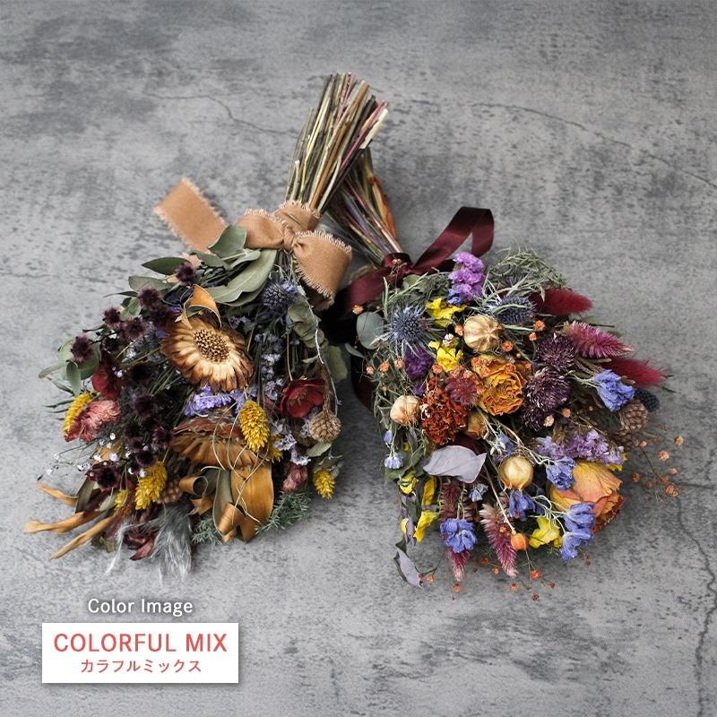 ȯǽ̡ۥɥ饤եå S