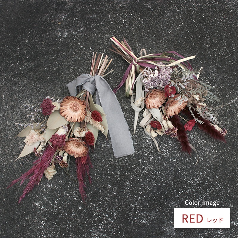 ȯǽ̡ۥɥ饤եå S