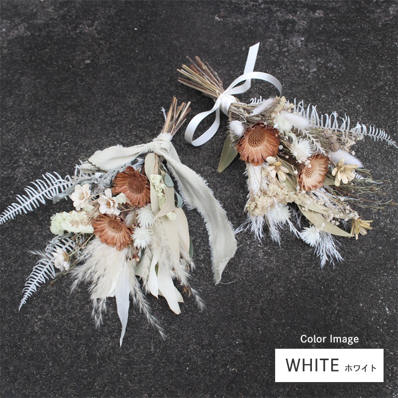 ȯǽ̡ۥɥ饤եå S