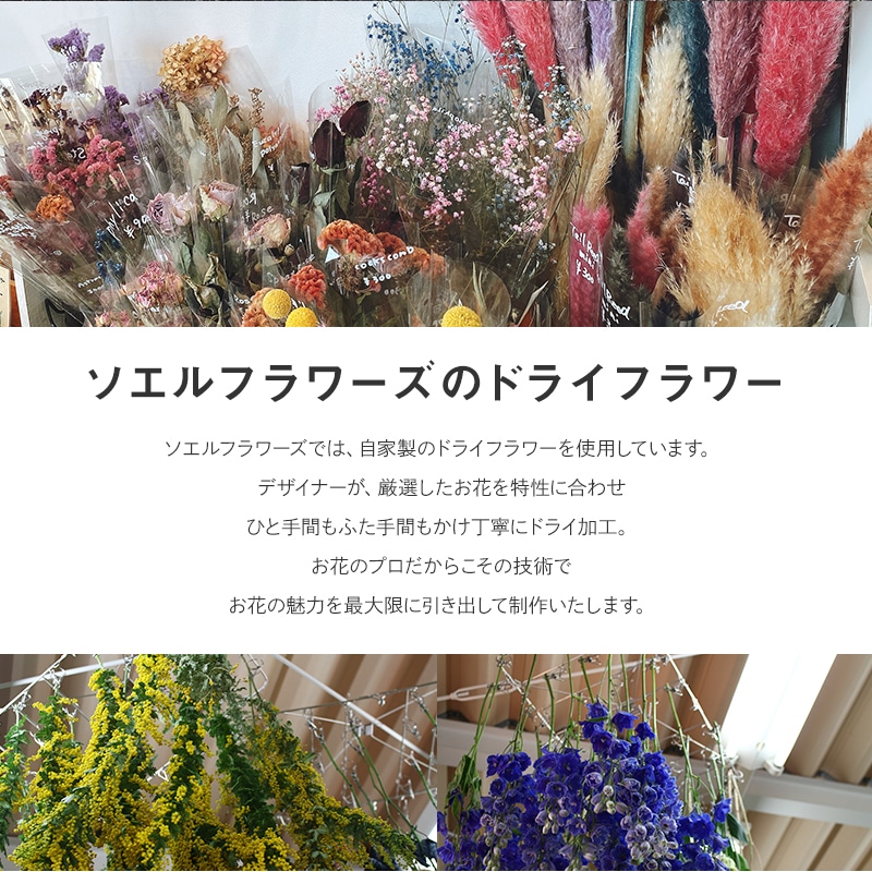 ȯǽ̡ۥɥ饤եå S