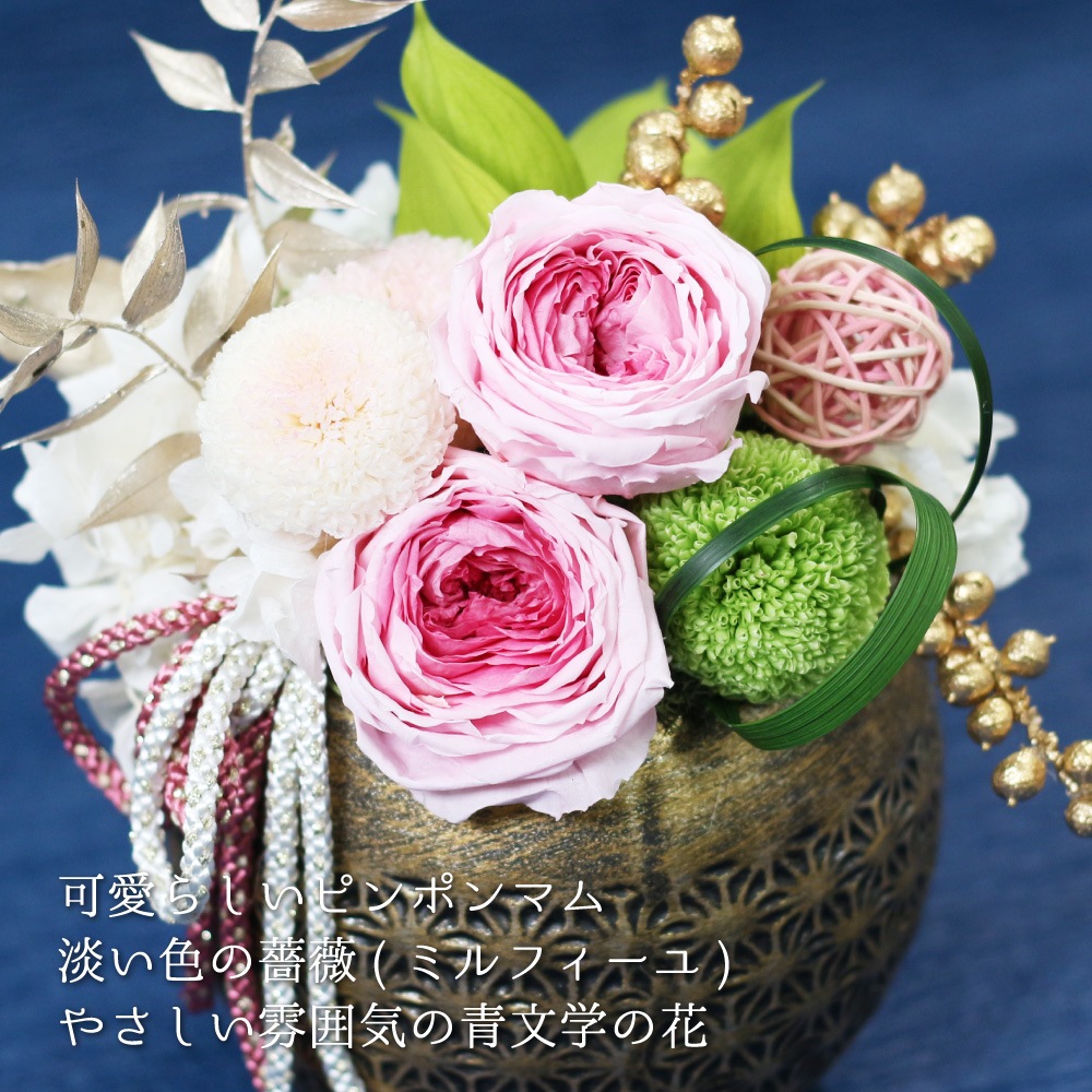 ǽ̵ 󥸥  [L] ʥץꥶ֥ɥե