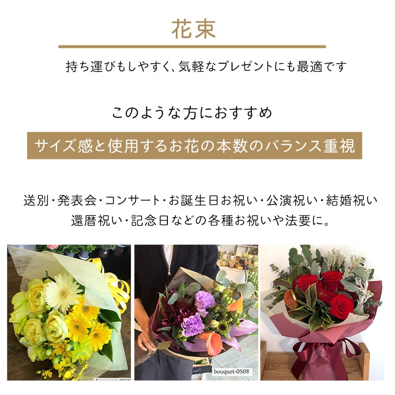 « M [Ϥǽꥢ˭ԡ;]