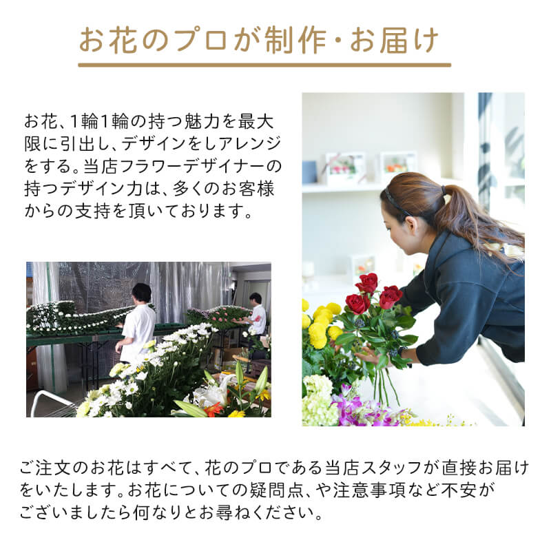 ��������« [���Ϥ���ǽ���ꥢ��˭���ԡ��;���]