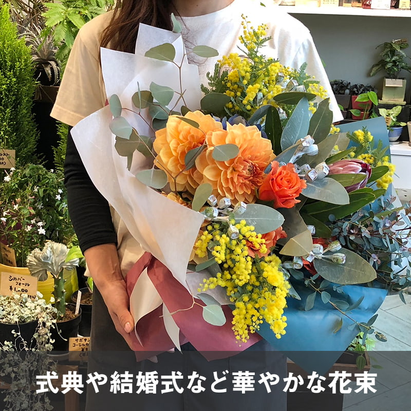 « XL  [Ϥǽꥢ˭ԡ;]