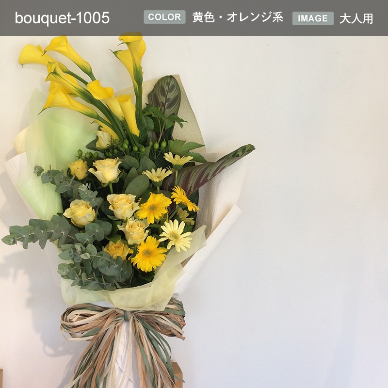 « XL  [Ϥǽꥢ˭ԡ;]