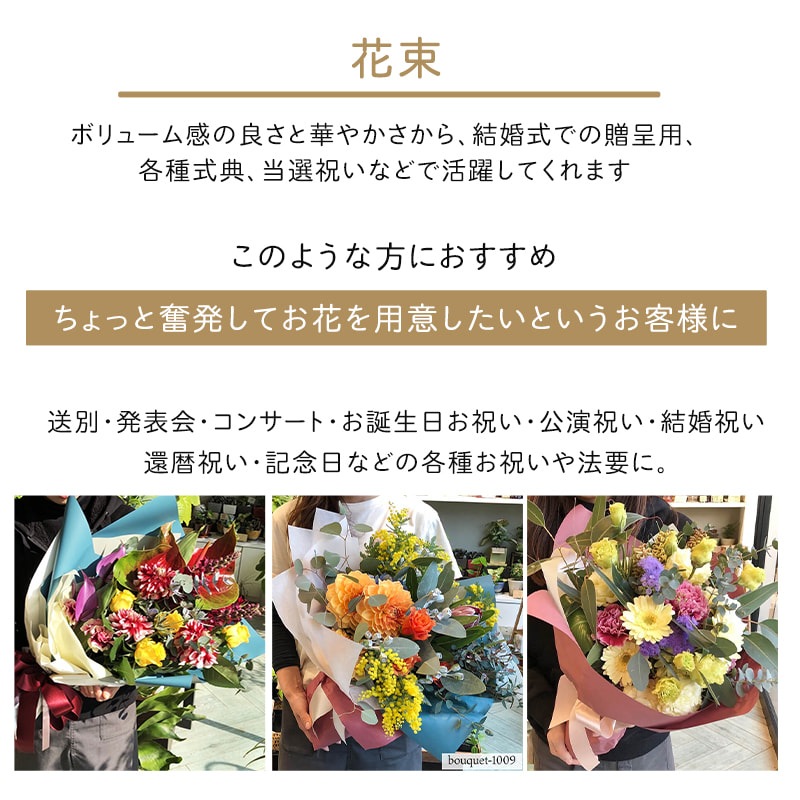 « XL  [Ϥǽꥢ˭ԡ;]