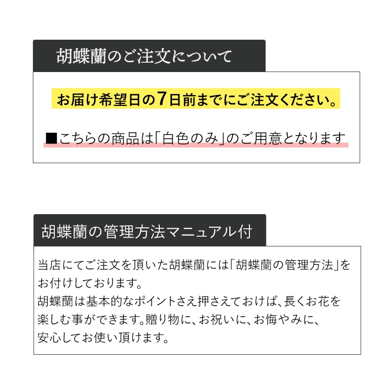 ĳ3Ω [Ϥǽꥢ˭ԡ;]
