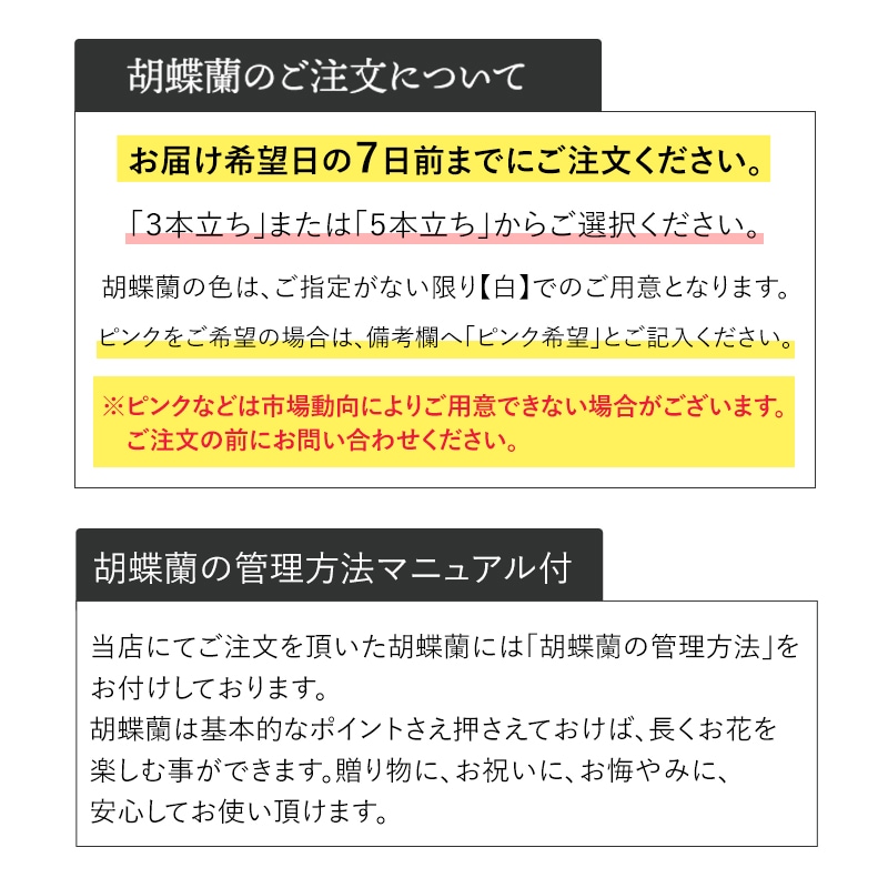 ĳ򡦥ԥ󥯡3Ω5Ω [Ϥǽꥢ˭ԡ;]