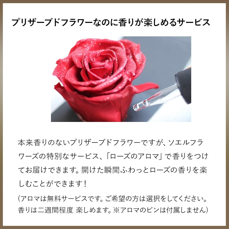 薔薇さん専用 ミニバラ：絞り咲きゼブラ3号ポット の通販 | 園芸ネット