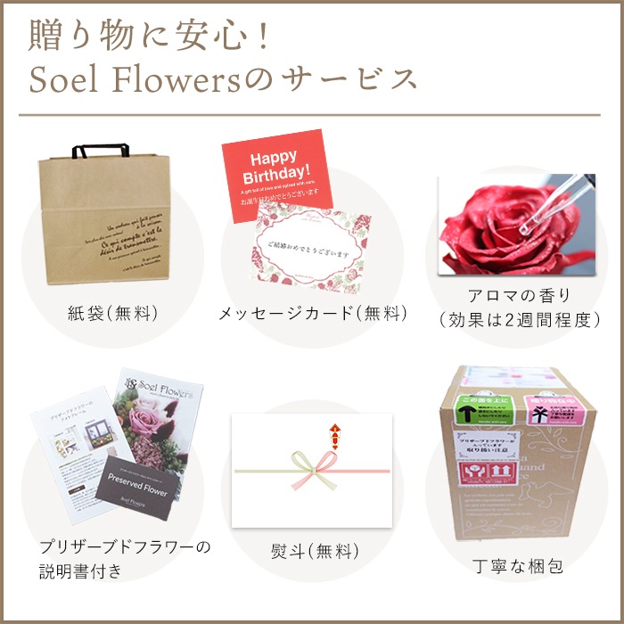 ������������ǽ�� ��������ɥ���������󥸥��ȡߥ��ޤΥޥå��� �ʥץꥶ���֥ɥե���