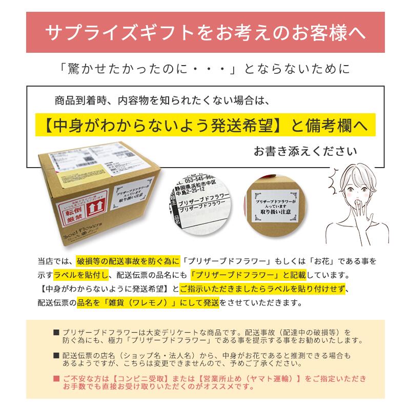 ������������ǽ�� ��������ɥ���������󥸥��ȡߥ��ޤΥޥå��� �ʥץꥶ���֥ɥե���