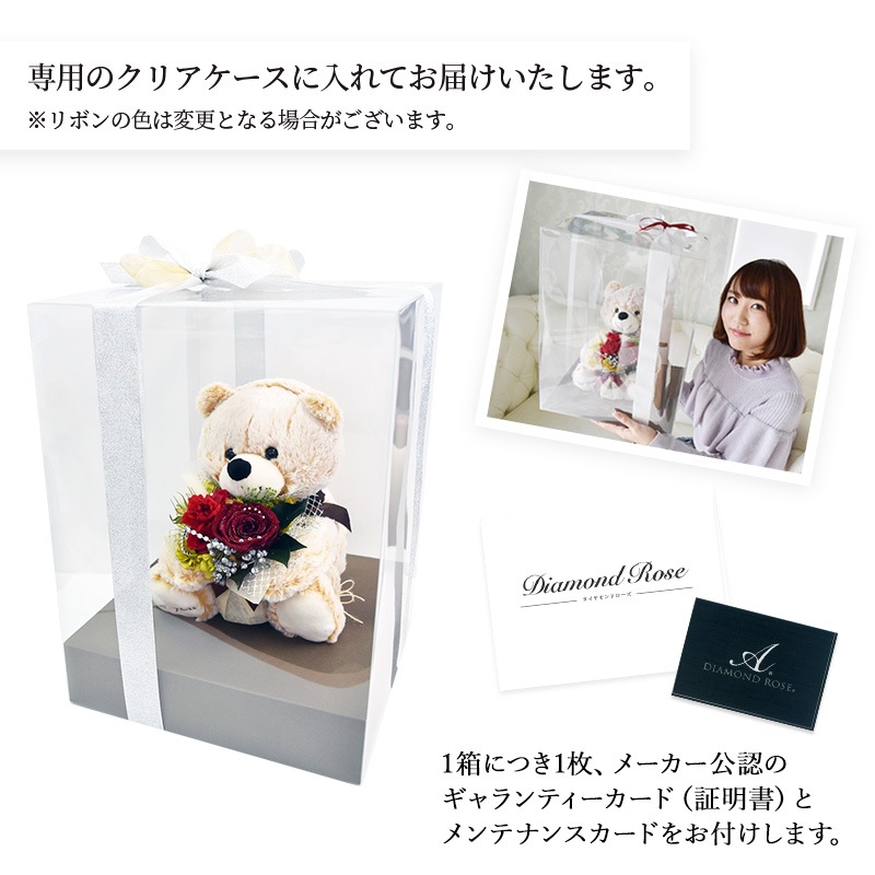 ������������ǽ�� ��������ɥ���������󥸥��ȡߥ��ޤΥޥå��� �ʥץꥶ���֥ɥե���