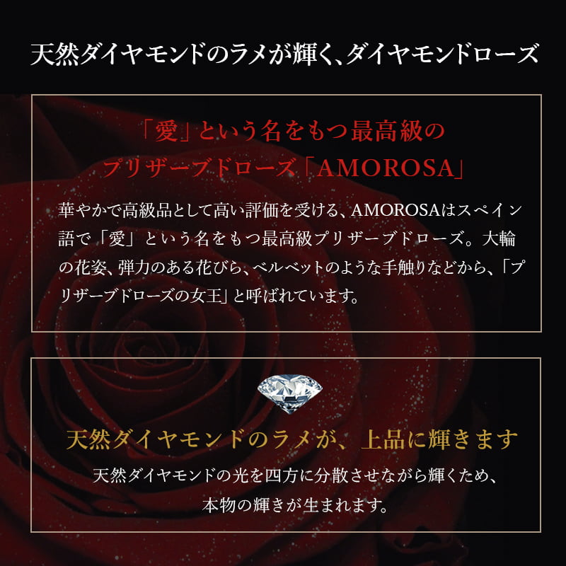 ������������ǽ�� ��������ɥ���������󥸥��ȡߥ��ޤΥޥå��� �ʥץꥶ���֥ɥե���