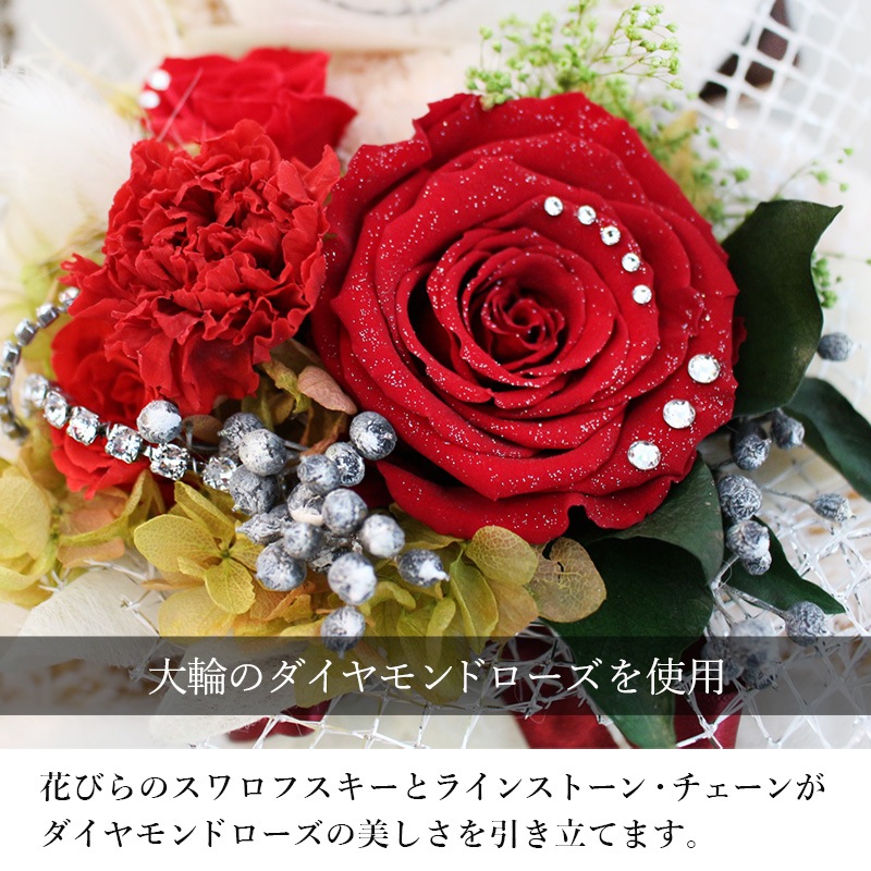 ������������ǽ�� ��������ɥ���������󥸥��ȡߥ��ޤΥޥå��� �ʥץꥶ���֥ɥե���