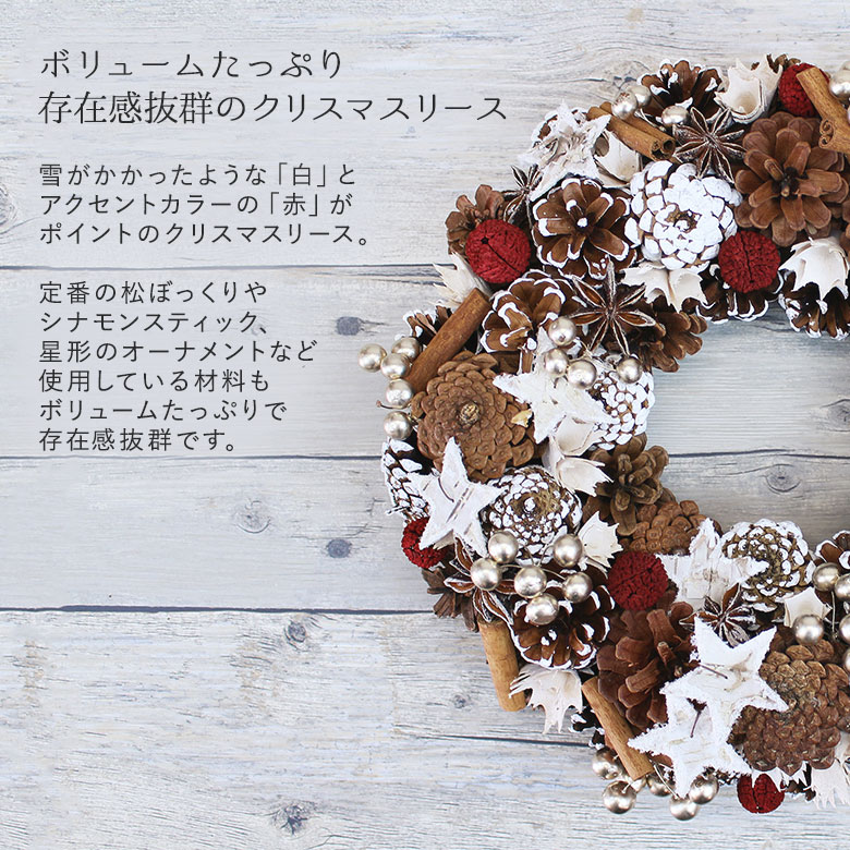 ������������ǽ������̵����  ����ڤμ¤Υ��ꥹ�ޥ��꡼�� �ʥץꥶ���֥ɥե���