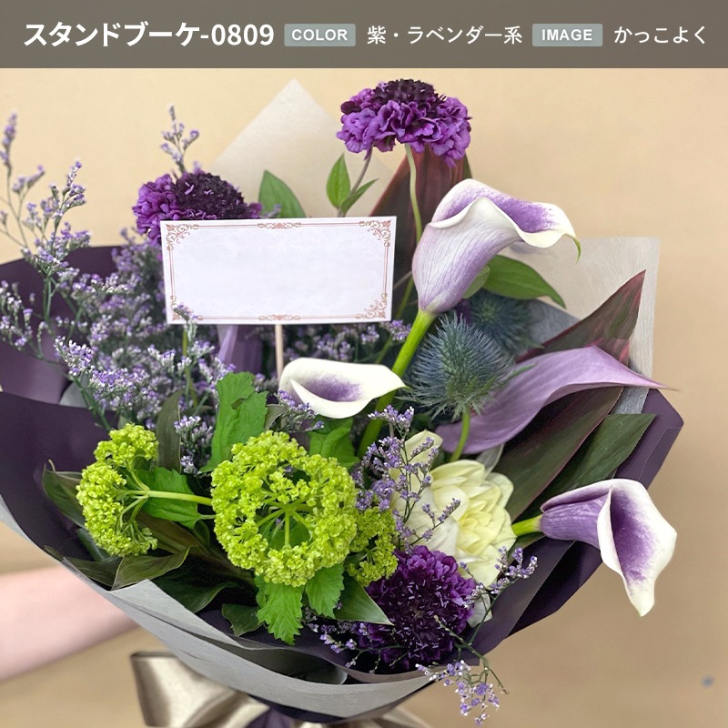 ȯ̡ۤΤޤ޾륹ɥ֡ L