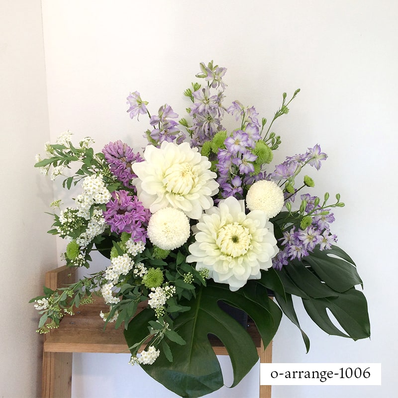 ����������󥸥��� [���Ϥ���ǽ���ꥢ��˭���ԡ��;���]