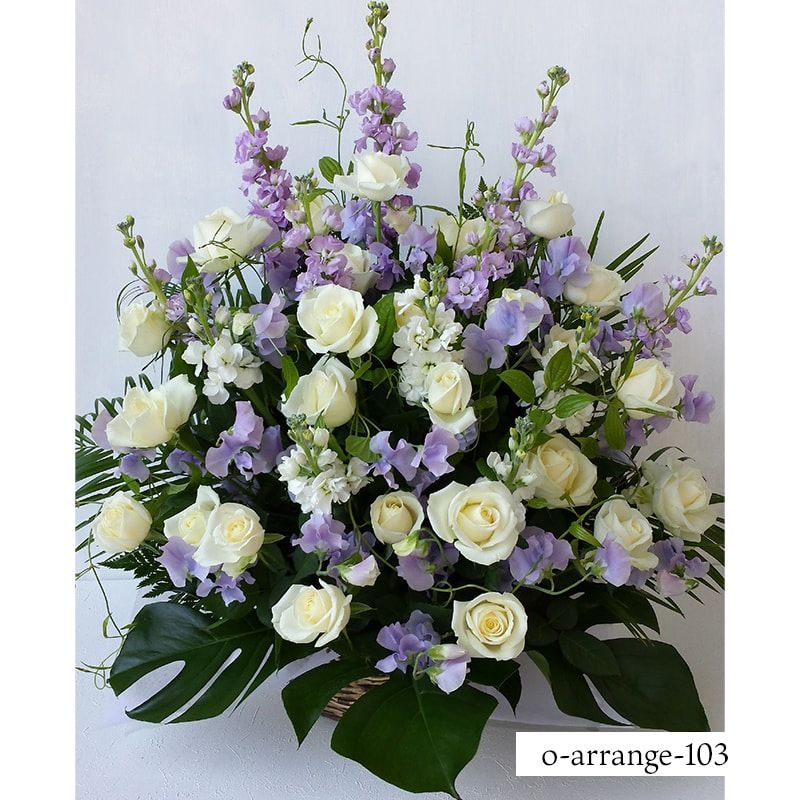 ����������󥸥��� [���Ϥ���ǽ���ꥢ��˭���ԡ��;���]