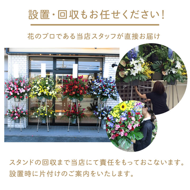 �ե�������ɡʥ��󥵡��ȡ��饤�֡�ȯɽ���ѥ���������֡� [���Ϥ���ǽ���ꥢ��˭���ԡ��;���]