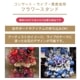�ե�������ɡʥ��󥵡��ȡ��饤�֡�ȯɽ���ѥ���������֡� [���Ϥ���ǽ���ꥢ��˭���ԡ��;���]